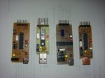 DSC01164.jpg