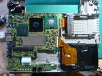 DSC01242.jpg
