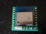 DSC01257.jpg